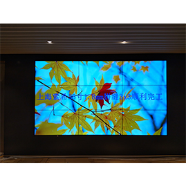 上海液晶拼接屏：上海虹漕路88號(hào)